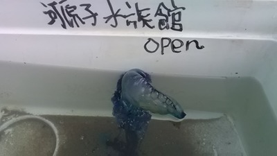 P1000192