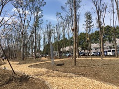 2015-03-29-13-00-35