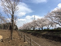 2015-03-29-13-00-20