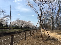 2015-03-29-12-47-19