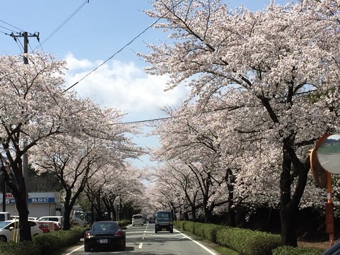 2015-03-29-13-18-12