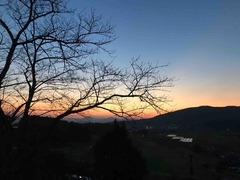 IMG_4819