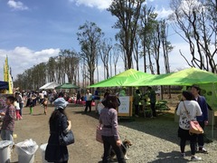2015-03-29-13-11-59