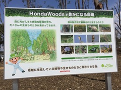 2015-03-29-12-41-40