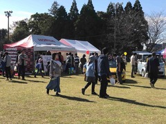 IMG_4580