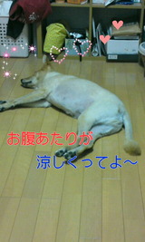 2e251c82.jpg