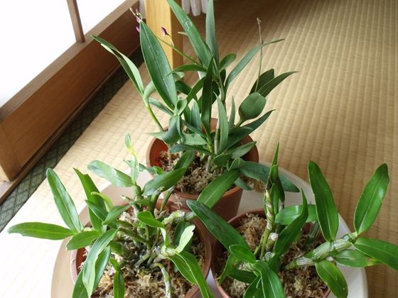 2012-01-31_0497_R