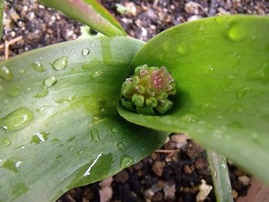 2012-01-29_0420_R
