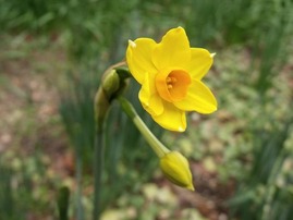 2012-01-29_0423_R