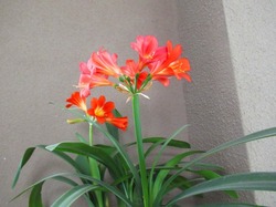2018-04-19_3649