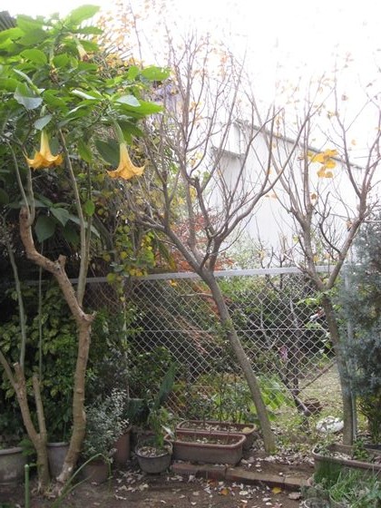 2011-12-11_0329_R