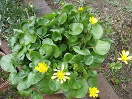 2012-01-29_0418_R