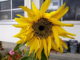 2012-01-29_0456_R