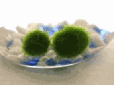 9282a7d5.gif