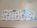 9c5cd09a.JPG