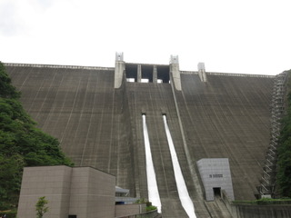 放流4