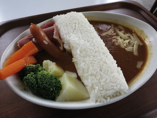 ダムカレー放流完了