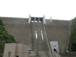 放流2