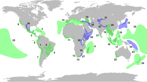 600px-Biodiversity_Hotspots_svg