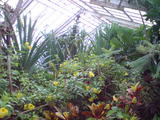 20090811223425