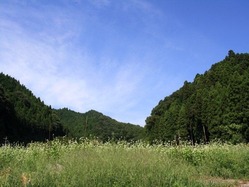 r-IMG_3428