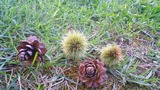201109061728000