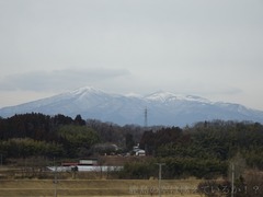 20190227-019