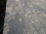 201808xx-037
