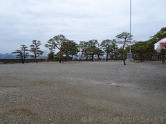 201903xx-315