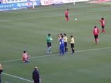36コイントス