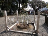 02鳥居のあった場所