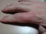DSC08487