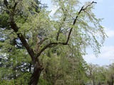 201808xx-035