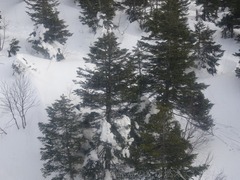 20190227-062