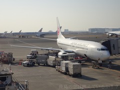 ORG_DSC01520