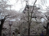201808xx-114(2007年)