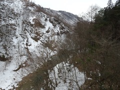 ORG_DSC01231