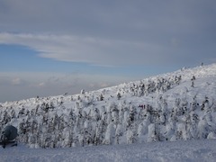 20190227-069