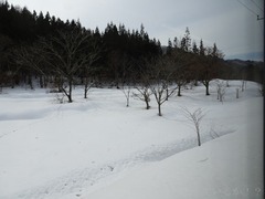 20190227-022