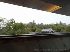 201903xx-379
