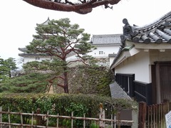 201903xx-318