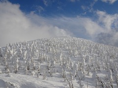 20190227-068