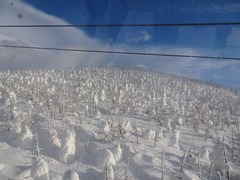 20190227-077