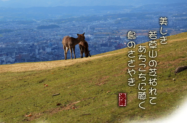 逸穂-3