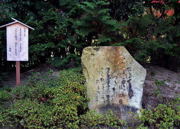 DSC_5299_サイズ変更