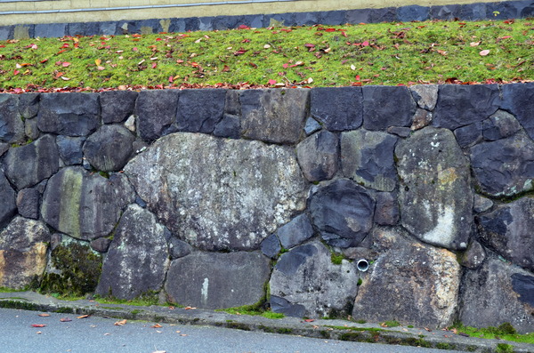 DSC_4988
