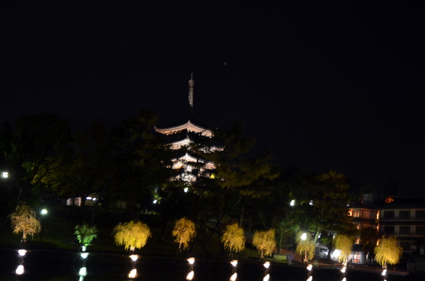 DSC_5136