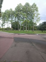 2c41085f.jpg