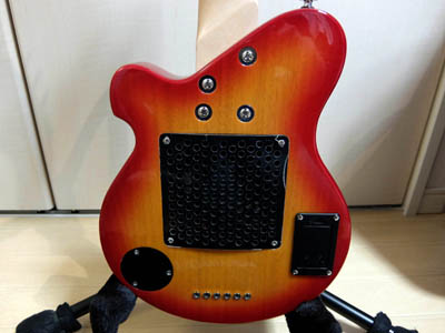 PIGNOSE PGG-200_03s