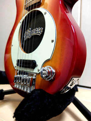 PIGNOSE PGG-200_02s